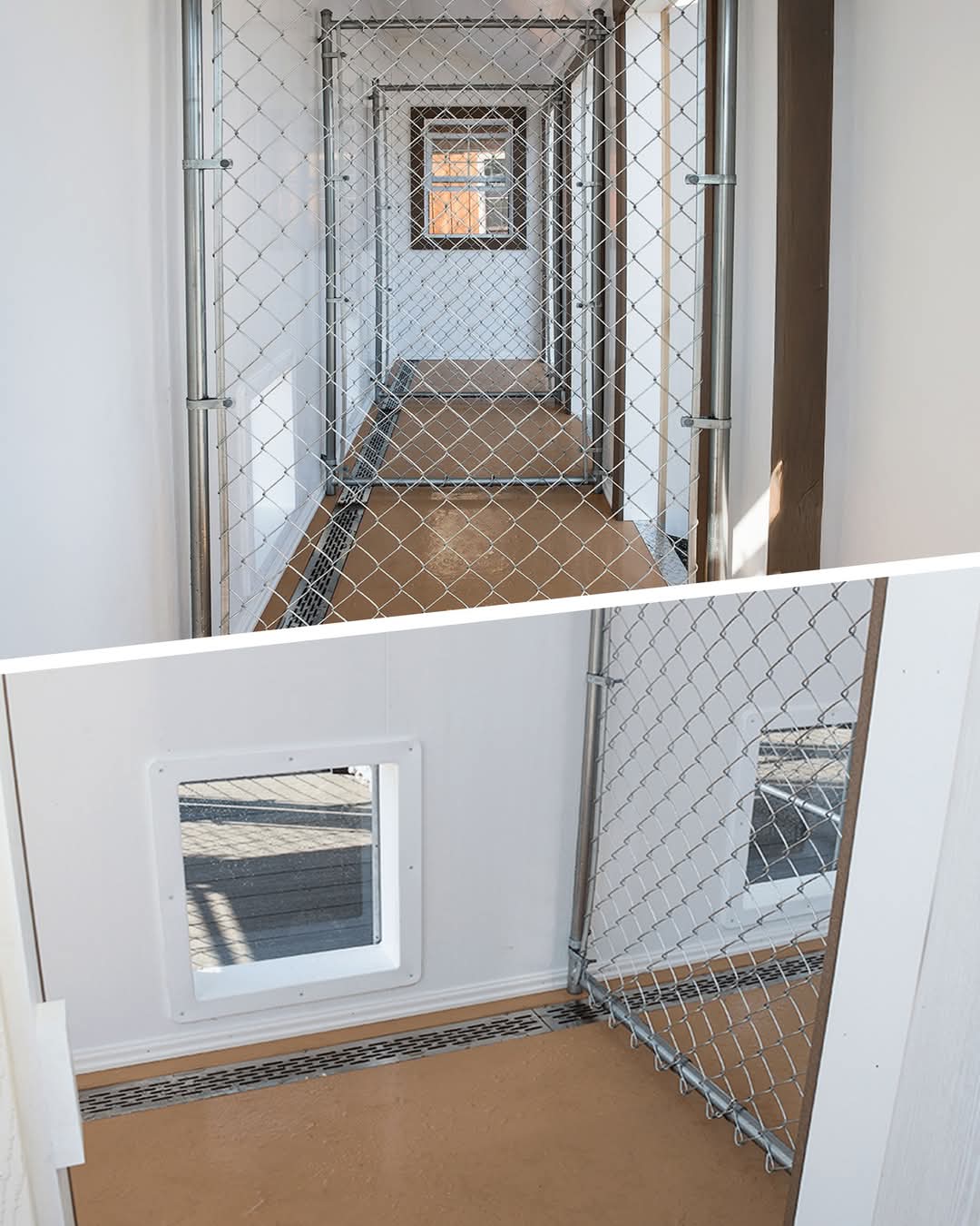  Dog Kennel