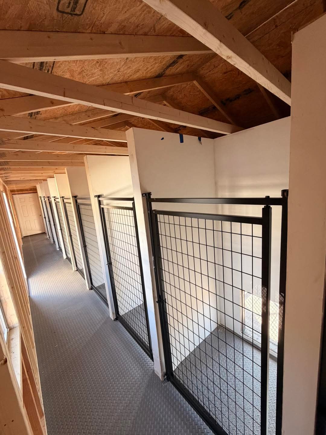  Dog Kennel