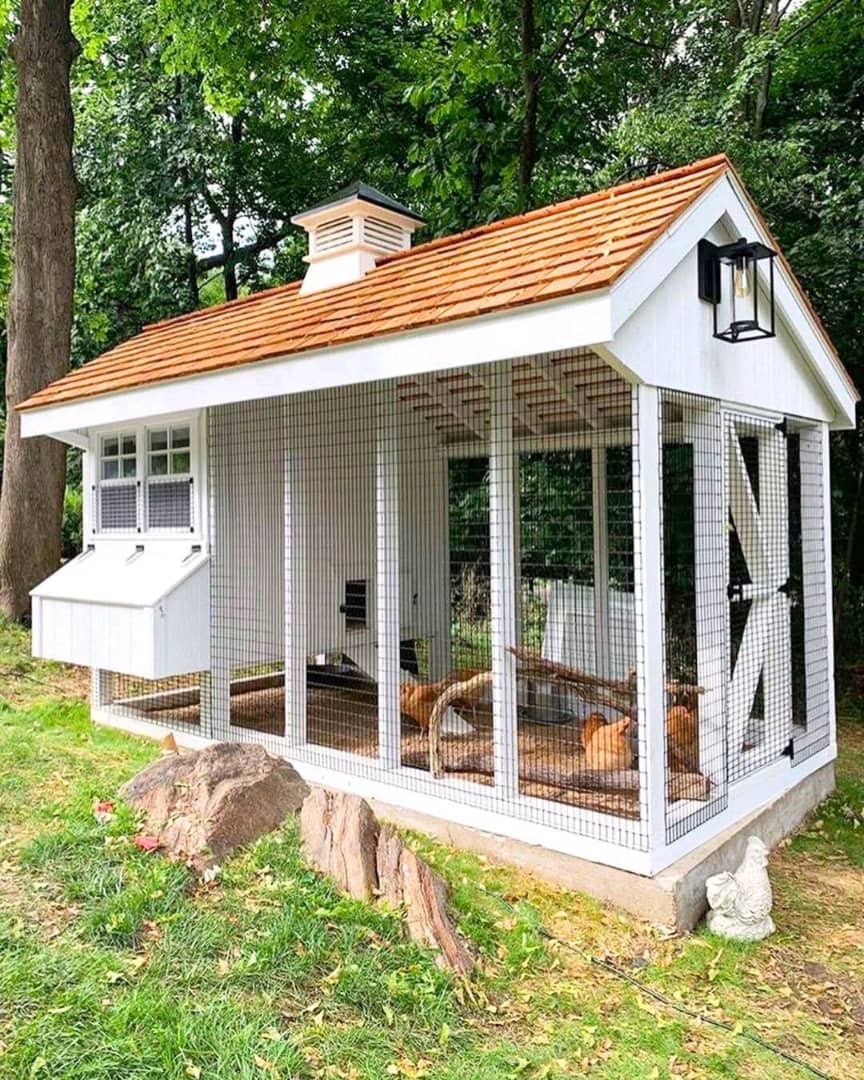  Dog Kennel