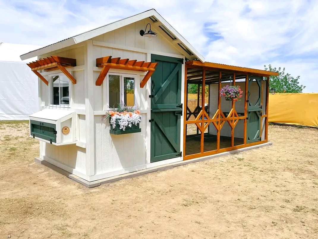  Dog Kennel