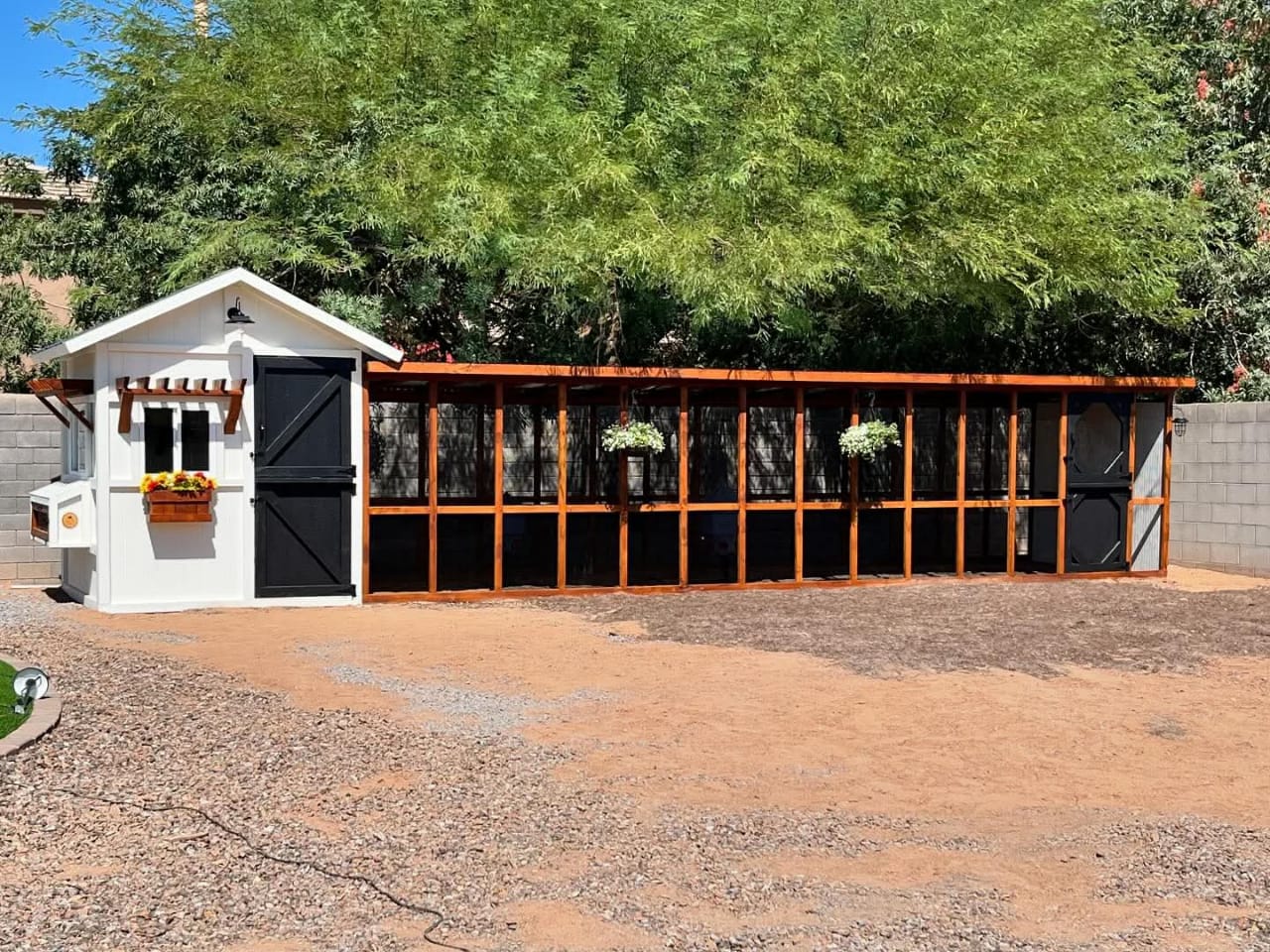  Dog Kennel