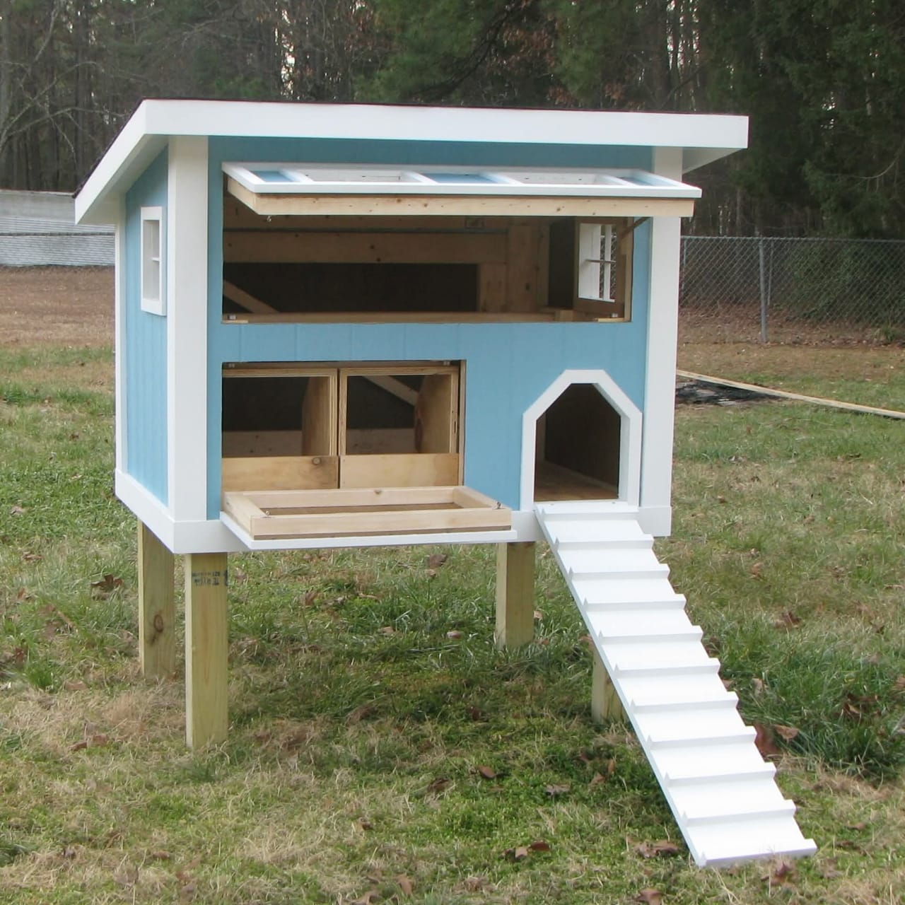  Dog Kennel
