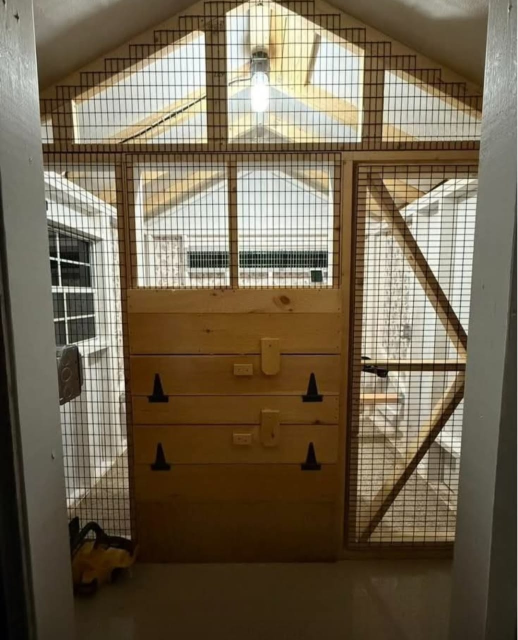  Dog Kennel