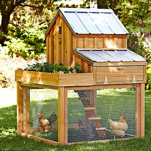 Chicken Coop USA