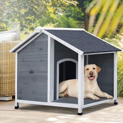 Chicken Coop Builders