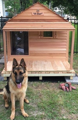 Dog Kennel for Sale USA