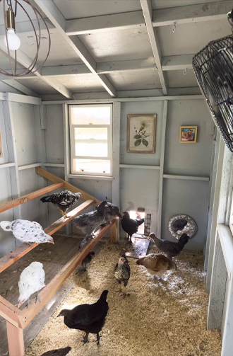 Horse Barns for Sale USA